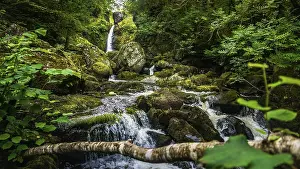 Irish Countryside Scenery Drucke: Small cascade on a mountain stream or creek