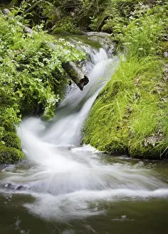 Bilder Datiert 15. April 2024: Kleine Kaskaden einer Bergbach im Wald.