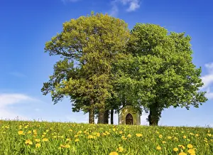 Deserted Chapel In Austria Drucke: Small chapel between lime tree and chestnut tree