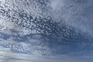 Cirrocumulus Cloud Formation Drucke: Small cirrocumuli (Cirrocumulus)