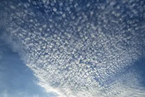 Cumulus Humilis Cloud Drucke: Small cirrocumulus clouds, herringbone sky