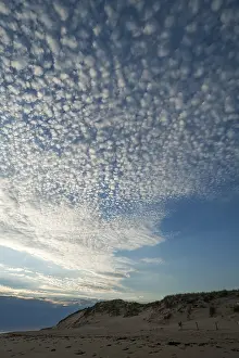 Cirrocumulus Clouds Drucke: Small cirrocumulus clouds, herringbone sky
