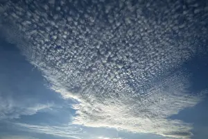 Cumulus Humilis Cloud Drucke: Small cirrocumulus clouds, herringbone sky