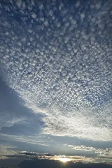 Backlit Cloud Formation Drucke: Small cirrocumulus clouds, herringbone sky