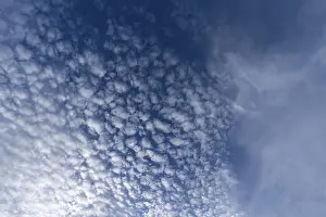 Cirrocumulus Clouds Drucke: Small fleecy clouds (Cirrocumulus)