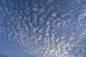 Cirrocumulus Clouds Germany Drucke: Small fleecy clouds (Cirrocumulus) at evening sky
