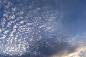 Cirrocumulus Clouds Drucke: Small fleecy clouds (Cirrocumulus) at evening sky