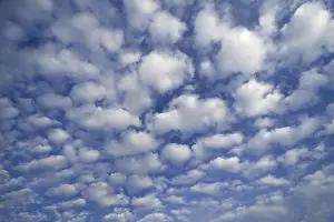 Cirrocumulus Clouds Drucke: Small fluffy clouds, Cirrocumulus