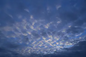 Deserted Evening Sky Drucke: Small fluffy clouds, cirrocumulus