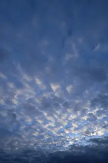 Deserted Evening Sky Drucke: Small fluffy clouds, cirrocumulus