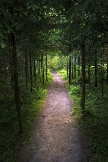 European Rural Landscapes Drucke: Small hiking path in the black forest