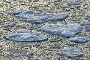 Svalbard Archipelago Water Surface Drucke: Small icebergs, edge of pack-ice