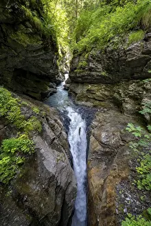 Bernese Alps Landscape Drucke: Small mountain stream in the forest