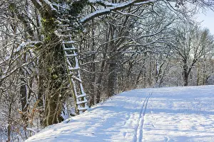 European Winter Landscape Photography Drucke: Small path at the edge of a field