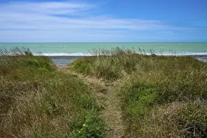 New Zealand Ocean Views Drucke: Small path through grasses leads to the ocean