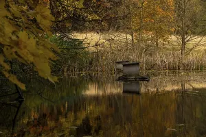 Deserted Waterfront Scenery Drucke: Small pond in autumn 3