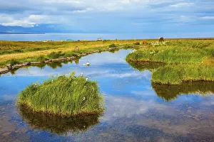 Northern Europe Scenery Drucke: Small pond surrounded by green meadow