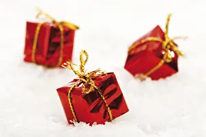 Live Studio Photography Drucke: Small presents on snow