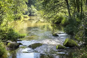 Deserted Creek Drucke: Small rapids on a stream in summer