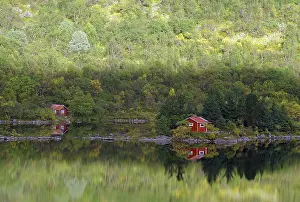 Nordland Norway Landscape Drucke: Small, red hut reflected in the lake