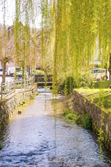 Central Europe Waterfronts Drucke: A small river snakes under hanging willows