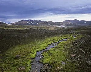 Iceland Moss Drucke: Small spring covered with moss