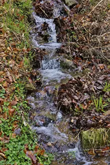 Deserted Waterfront Photos Drucke: Small stream in early spring, Germany