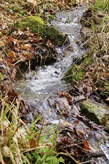 Bilder Datiert 13. März 2024: Kleiner Bach im frühen Frühling, Deutschland.