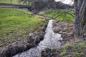 German Federal State Scenery Drucke: A small stream flows through a green landscape