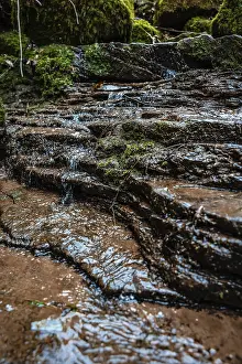 German Forest Landscapes Drucke: Small stream in the forest, Black Forest