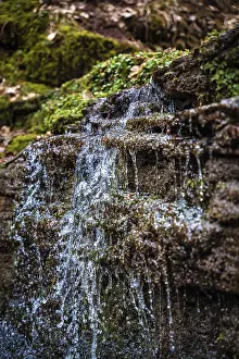 Black Forest Waterfall Drucke: Small stream in the forest with waterfall