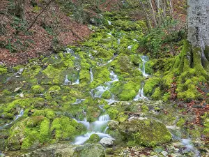 Swabian Jura Landscape Drucke: Small stream over limestone tuff cliffs covered by moss