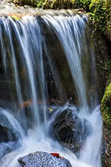 Mountain Torrent Scenery Drucke: Small stream and waterfall among the moss
