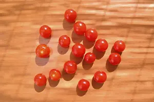 Botany Photography Drucke: Small tomato