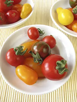 Fruit Vegetable Images Drucke: Small tomatoes