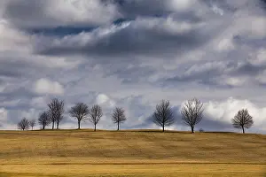 Deserted Golf Course Drucke: The small trees on the golf course in autumn