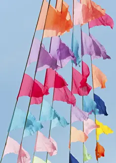 Deserted Landscape Photos Drucke: Many small triangular colorful flags