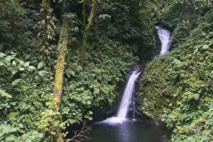 Wilderness Nature Photography Drucke: Small waterfall in the cloud forest