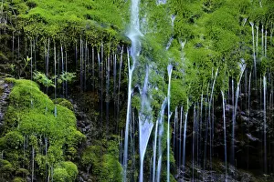 Deserted German Waterfalls Drucke: Small waterfall on mossy rocks
