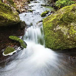 Deserted Forest Landscapes Drucke: Small waterfall in the primeval forest