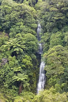 Rainforest Waterfall Photography Drucke: Small waterfall in the rainforest