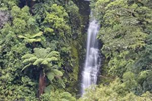 Jungle Waterfall Photography Drucke: Small waterfall in the rainforest