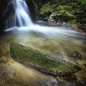 River Landscape Drucke: Small waterfall between rocks and plants