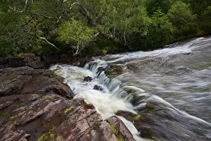 Scottish Nature Reserve Drucke: Small waterfall over rocks surrounded by thick vegetation