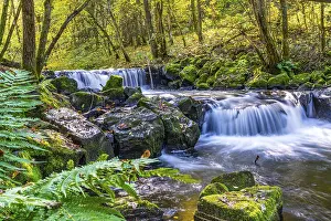 Waterfall In Central Europe Drucke: Small waterfalls in the river Sieg