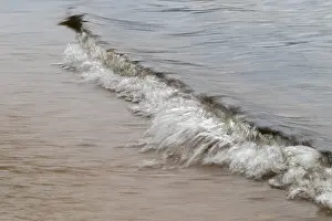 Swedish Lake Landscape Drucke: Small wave, smudge effect, soft water