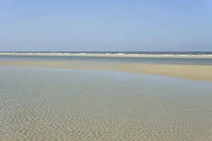 Lower Saxony Coastline Drucke: Small waves with light reflections