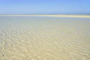 Lower Saxony Coastline Drucke: Small waves with light reflections