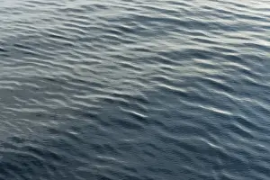 Full Frame Arctic Ocean View Drucke: Small waves, ocean surface, Arctic Ocean