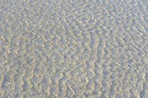 Norderney Island Germany Drucke: Small waves on the sandy beach with light reflections